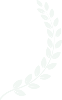 hamzabashirfx.com